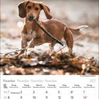 Kalenderblatt: November 2027. Ein Hund mit Stock im Maul läuft durch Laub.
