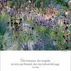 SEPTEMBER 20-27, 37. Woche. Zitat: "Der Sommer, der vergeht, ist wie ein Freund, der uns Lebewohl sagt." - Victor Hugo.