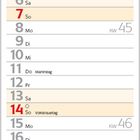 November 2027 Kalender. Feiertage: Allerheiligen, Allerseelen, Buß- und Bettag, Volkstrauertag, Totensonntag, 1. Advent. Siberianische Katze im Herbstlaub.