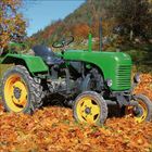 Text: "DEUTZ" auf der Front. Ein grüner Traktor mit gelben Rädern steht auf einem Boden voller Herbstblätter. Hintergrund: Wald.