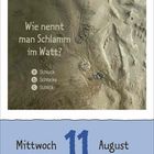 "Wie nennt man Schlamm im Watt?" mit Optionen: a) Schluck, b) Schlacke, c) Schlick. Datum: Mittwoch, 11. August.