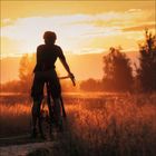 Kein Text vorhanden. Eine Person auf einem Fahrrad fährt bei Sonnenuntergang auf einem Feldweg, umgeben von Bäumen und Gras.