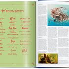 Seite links: "Fantasy Artists", viele signierte Namen auf grünem Hintergrund. Seite rechts: Texte über Künstler, Fantasie-Illustrationen.