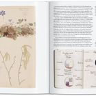 Links botanische Illustrationen von Pflanzen mit Bezeichnungen. Rechts Text über künstlerische Arbeiten und Theorien.