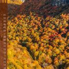 Links steht vertikal "11", daneben Zahlen von 01 bis 30. Herbstliche Baumlandschaft, bunte Laubwälder in einem Tal.