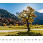 November-Kalenderbild mit herbstlichem Baum in sonniger Berglandschaft.