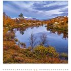Im Novemberkalenderbild spiegeln sich bunte Herbstbäume in einem ruhigen See unter einem bewölkten Himmel.