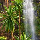 Kalender mit 11 und Datumsangaben. Wasserfall in üppiger Vegetation mit großen, grünen Pflanzen.