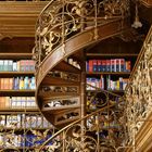 "Bücher lesen heißt wandern gehen in ferne Welten, aus den Stuben über die Sterne." 

Goldene Wendeltreppe in einer Bibliothek.
