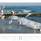 Möwen im Ostseebad Kühlungsborn, Mecklenburg-Vorpommern. Kalenderblatt für November, mit Datum und Feiertagen.