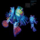 Mandarinfische schweben in leuchtenden Blau- und Orangetönen auf schwarzem Hintergrund, darunter Kalender für November.