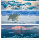 Text: 07. Woche 2027 FEBRUAR. Bilder: Eisbären, Eisberge und gefrorenes Wasser in einer arktischen Landschaft.