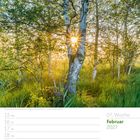 07. Woche, Februar 2027. Kalenderseite mit Birkenwald, Sonnenlicht scheint durch die Bäume.