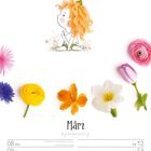 "März, 8. ist ein Feiertag in Berlin und Mecklenburg-Vorpommern, 9. ist Internationaler Frauentag. Illustration: Figur mit Blume."