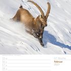 „07. Woche, Februar 2027.“ Ein Steinbock läuft durch den Schnee. Ein Kalender zeigt Tage und Termine.
