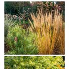 Kalenderblatt November mit herbstlichen Gartenbildern: ein Tisch mit Äpfeln, goldenes Gras und ein Baum mit Bank.