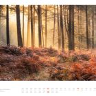 Die Zahlen von 1 bis 30 sind unten als Kalendertage dargestellt. Oben sieht man einen herbstlichen Wald mit Sonnenstrahlen.