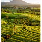 Text: "10 März, Mo 08 Di 09 Mi 10 Do 11 Fr 12 Sa 13 So 14". Eine grüne Reisterrassenlandschaft mit einem Vulkan im Hintergrund.