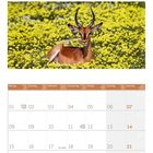Kalenderseite für November 2027. Zwei Landschaftsfotos mit gelben Blumen und Antilope. Feiertage: "St. Martin", "Buß- und Bettag", "Thanksgiving".