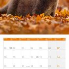 Kalenderseite für November 2027 mit Woche, Tagen und Feiertagen. Ein Otter im Laub im oberen Bildteil.