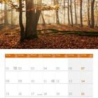 Kalender für November 2027. Wald mit Lichtstrahlen zwischen herbstlichen Bäumen.
