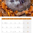 Kalender für November 2027 mit einem Igel, umgeben von braunen Blättern.