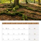 Kalenderblatt für November 2027. Oben ein herbstlicher Wald mit moosbewachsenen Wurzeln und Sonnenlicht.