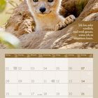 "Ich bin sehr niedlich und weiß genau, wann ich es einsetzen kann." zeigt einen Fuchs vor einem November-Kalender 2027.