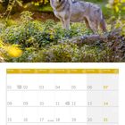 Kalender für November 2027, mit Feiertagen wie Buß- und Bettag am 17. und Thanksgiving Day am 25. 
Bild: Wolf im Wald.