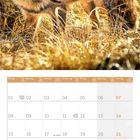 Kalender für November 2027. Ein Fuchs im goldenen Gras. Feiertage: 1. Allerheiligen, 12. St. Martin, 19. Buß- und Bettag.