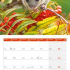 Kalender für November 2027. Bild: Ein Siebenschläfer auf roten Beeren und bunten Blättern.