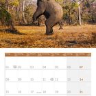 Kalenderblatt: November 2027. Feiertage: St. Martin, Buß- und Bettag, Thanksgiving Day. Ein Elefant steht aufrecht und reckt sich.