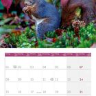 Kalender für November 2027. Bild: Ein Eichhörnchen vor roten Blättern im Herbst.