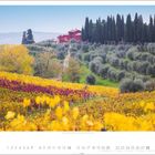 "Zahl 11, darunter die Zahlen 1 bis 30. Landschaft mit bunten Weinreben, Bäumen und einem roten Gebäude im Hintergrund."