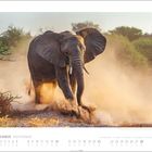 „November“ und Monatskalender darunter. Staubaufwirbelnder Elefant in der Savanne mit vereinzelten Bäumen.