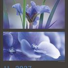 Kalender für November 2027 mit blauen Blumen in drei Abschnitten.