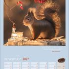 Text: „Wenn ich den Augenblick verpasse, verpasse ich das ganze Leben. - Roger Willemsen“. Kalenderblatt November 2027.