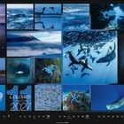 „Colours of Nature 2027“ steht in weißer und blauer Schrift. Bilder von Natur und Tieren, wie Seehunde und Vögel.