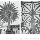 Links: große Palme vor einem Gebäude. Rechts: gotisches Gewölbe mit Säule. Unten Zahlenreihe 1-30, Monat 11.