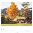 November 2027. Foto von Christa Brand. Ein Herbstbaum mit orangefarbenen Blättern vor grünem Feld und Holzstapel.