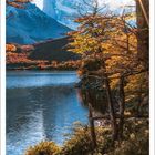 11. Novemberkalender. Landschaft: See, Berge, Bäume mit Herbstlaub, Sonnenstrahlen durch Baum, ruhige Wasseroberfläche.