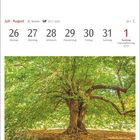 Kalenderblatt: Juli | August. 26. bis 1. August, Nationalfeiertag (CH) am 1. Foto: Linde in Frankreich.