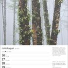Juli/August-Kalender, Woche 30, mit Bild von Baumstämmen im Wald, bedeckt mit epiphytischen Pflanzen und Nebel.