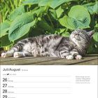 Kalenderseite Juli/August. Katze schläft entspannt in der Sonne auf Holz, umgeben von grünen Pflanzen.
