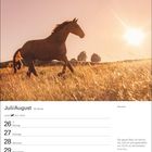 Kalender für Juli/August: Wochenkalender. Zitat über Harmonie von Bengt Berg. Galoppierendes Pferd im Feld bei Sonnenuntergang.