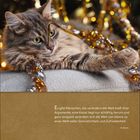 Zitat über die Kraft der Argumente und die Ruhe einer Katze. Unterhalb ein Kalender mit Dezemberdaten. Eine Katze liegt vor glänzenden Lichtern.