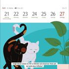 Kalenderdaten für Juni. Frage: "Einige Katzen haben rötliches und schwarzes Fell. Wie heißt die Fellfarbe?" Illustration: Zwei Katzen.