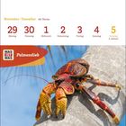 Text: November | Dezember 48. Woche, 29 Montag, 30 Dienstag, 1 Mittwoch, 2 Donnerstag, 3 Freitag, 4 Samstag, 5 Sonntag 2. Advent, WAS IST WAS, Palmendieb. Bild eines großen, bunt gefärbten Krebses auf einem Baumstamm.
