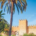 Text: "Die sechs Meter hohe Stadtmauer von Alcúdia entstand im 14. Jahrhundert unter König Jaume II."

Beschreibung: Eine Palme vor einer historischen Stadtmauer bei blauem Himmel.