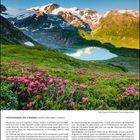 FRÜHMORGENS AM STEINESE (URNER ALPEN, BERN, SCHWEIZ) MAI 2027. Ein Bergsee mit blühender Flora im Vordergrund, umgeben von schneebedeckten Gipfeln.